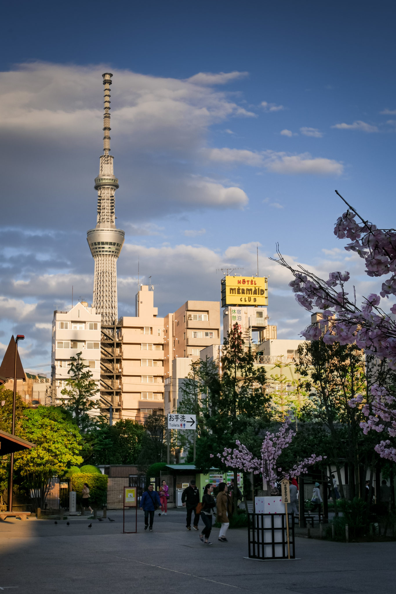 Tokyo, Honshu, Japon © Claire Blumenfeld