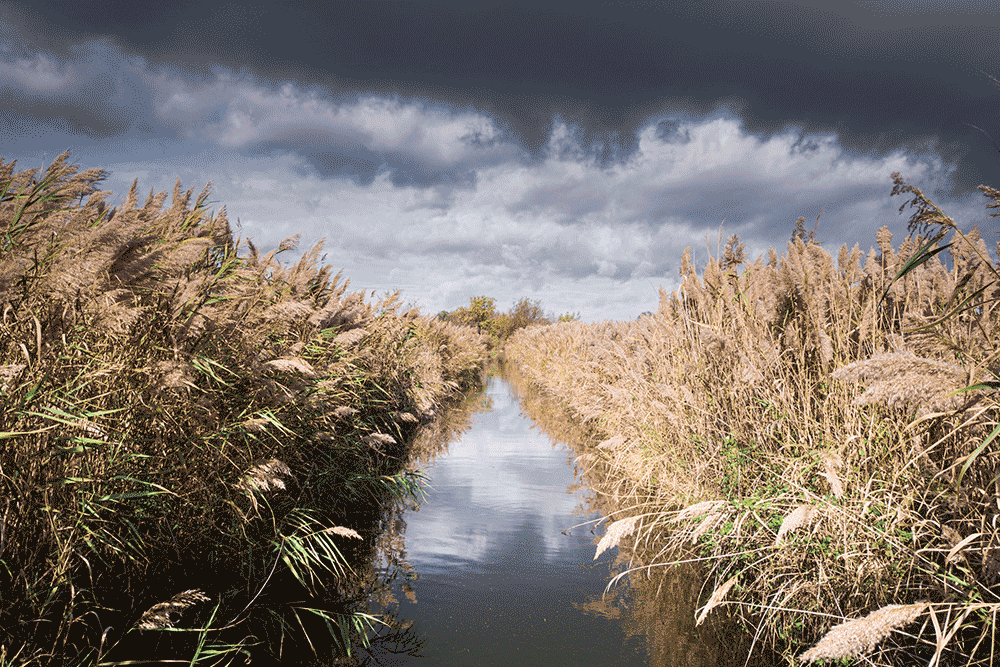 Camargue, France © Claire Blumenfeld