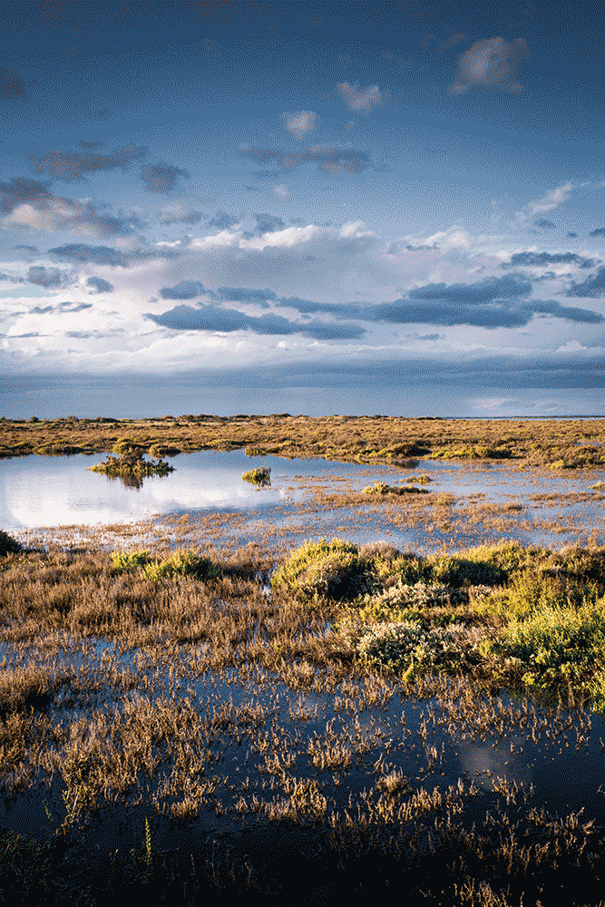 Camargue, France © Claire B. - Please do not use without authorization