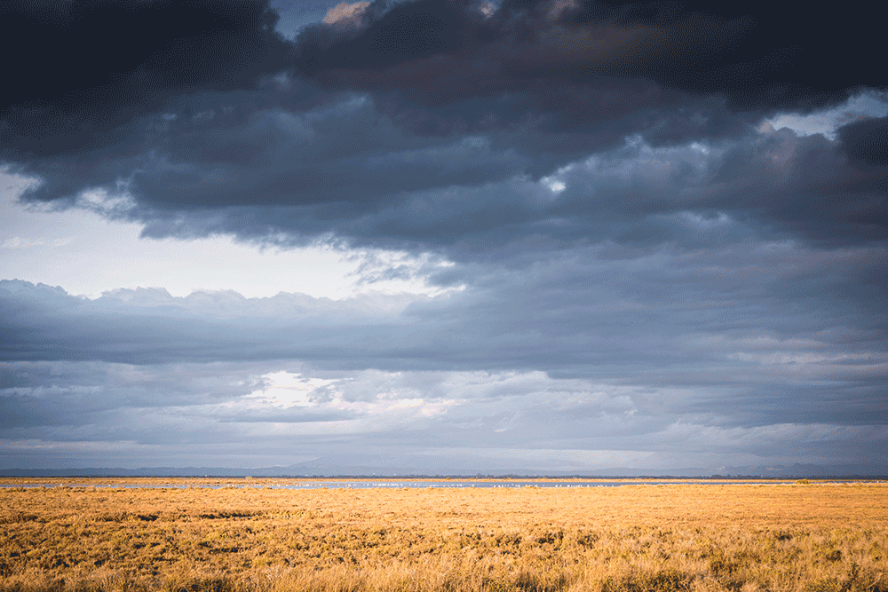 Camargue, France © Claire Blumenfeld