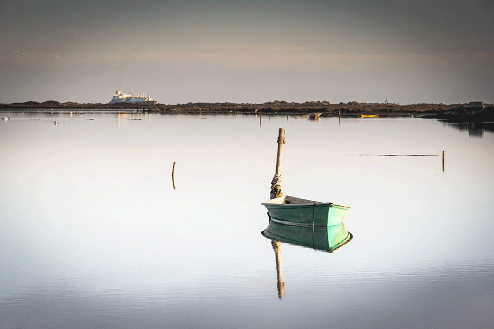 Camargue, France © Claire Blumenfeld