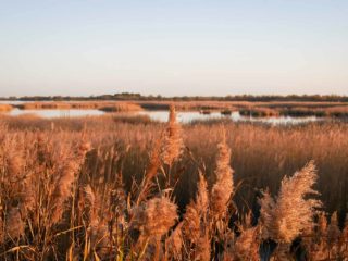 Camargue, France © Claire B. - Please do not use without authorization