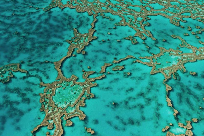 The Great Barrier Reef in Australia © Claire B. - Please do not use without authorization
