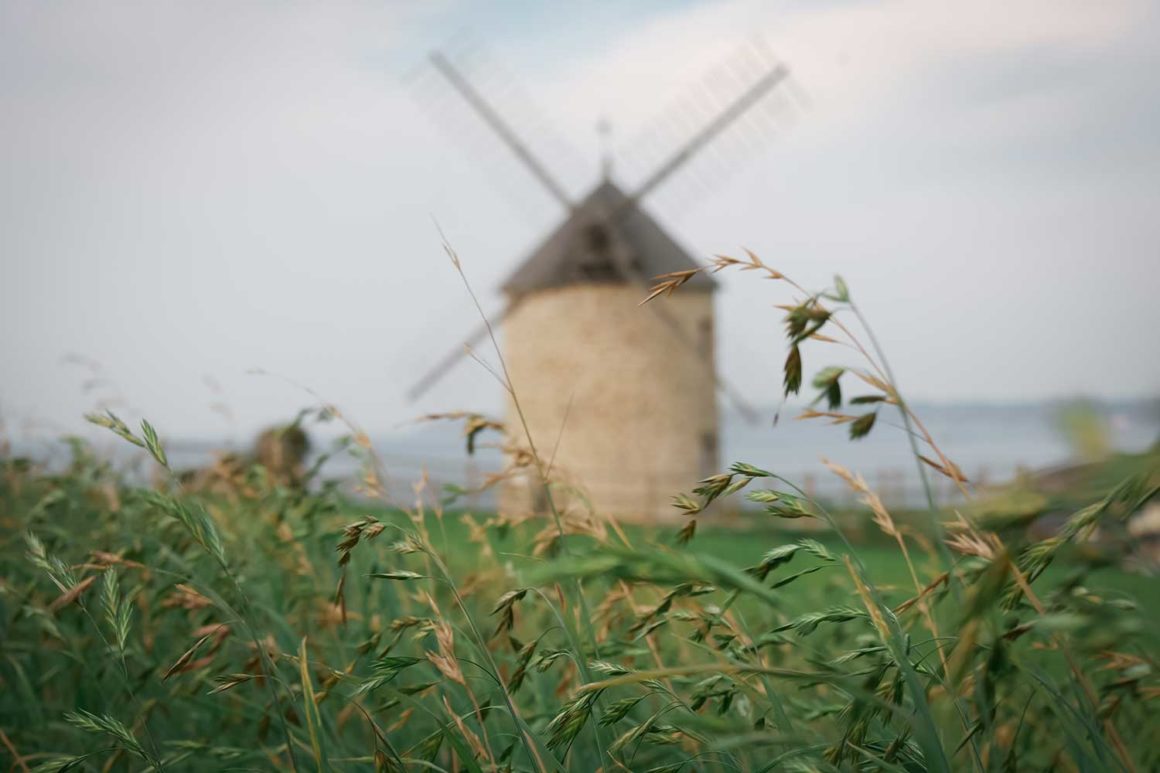 Volunteering in eco-construction, Presqu'île de Crozon, Bretagne, France © Claire B. - Please do not use without authorization