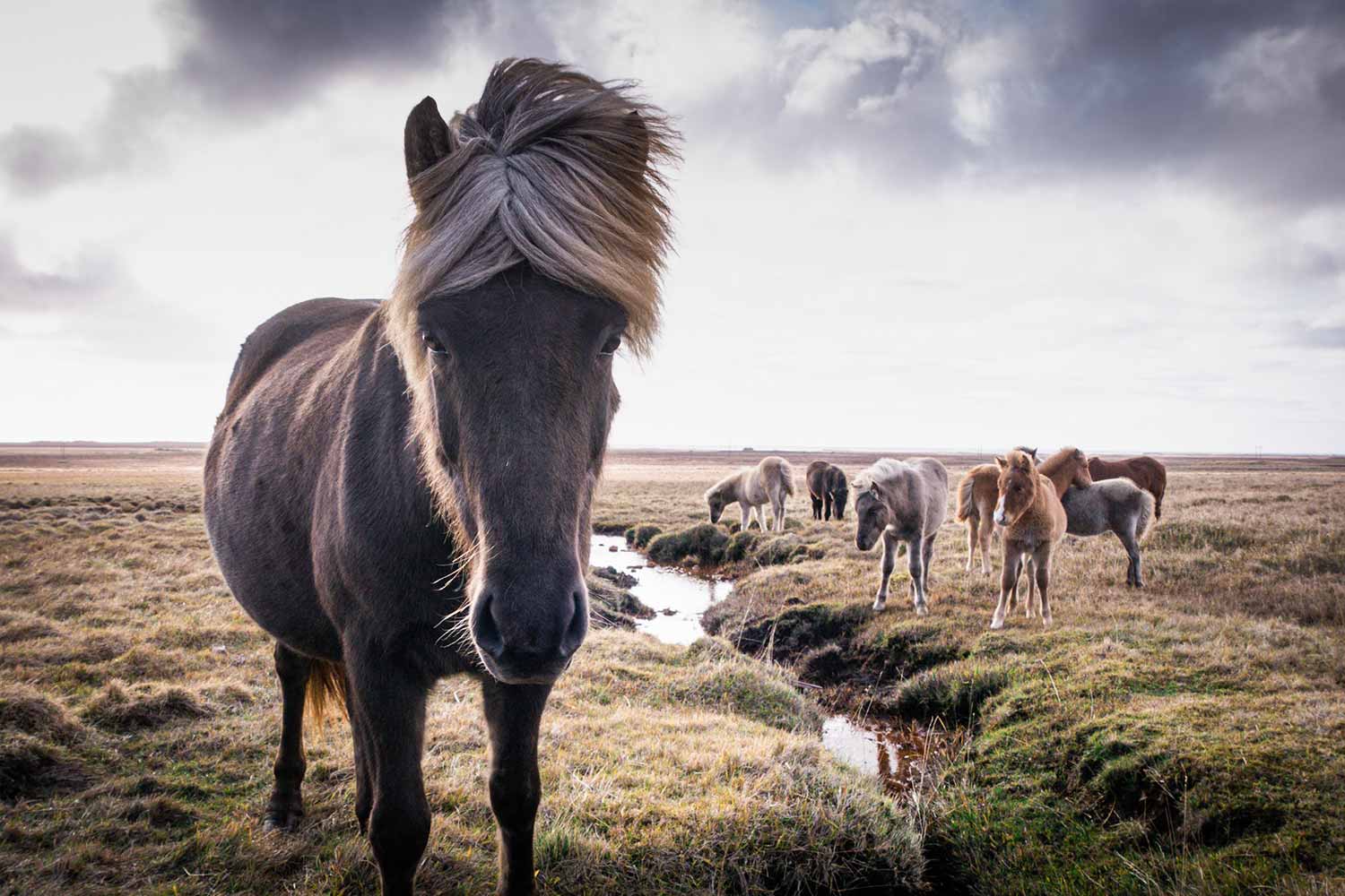 Snæfellsnes, Islande © Claire B. - Merci de ne pas utiliser sans autorisation