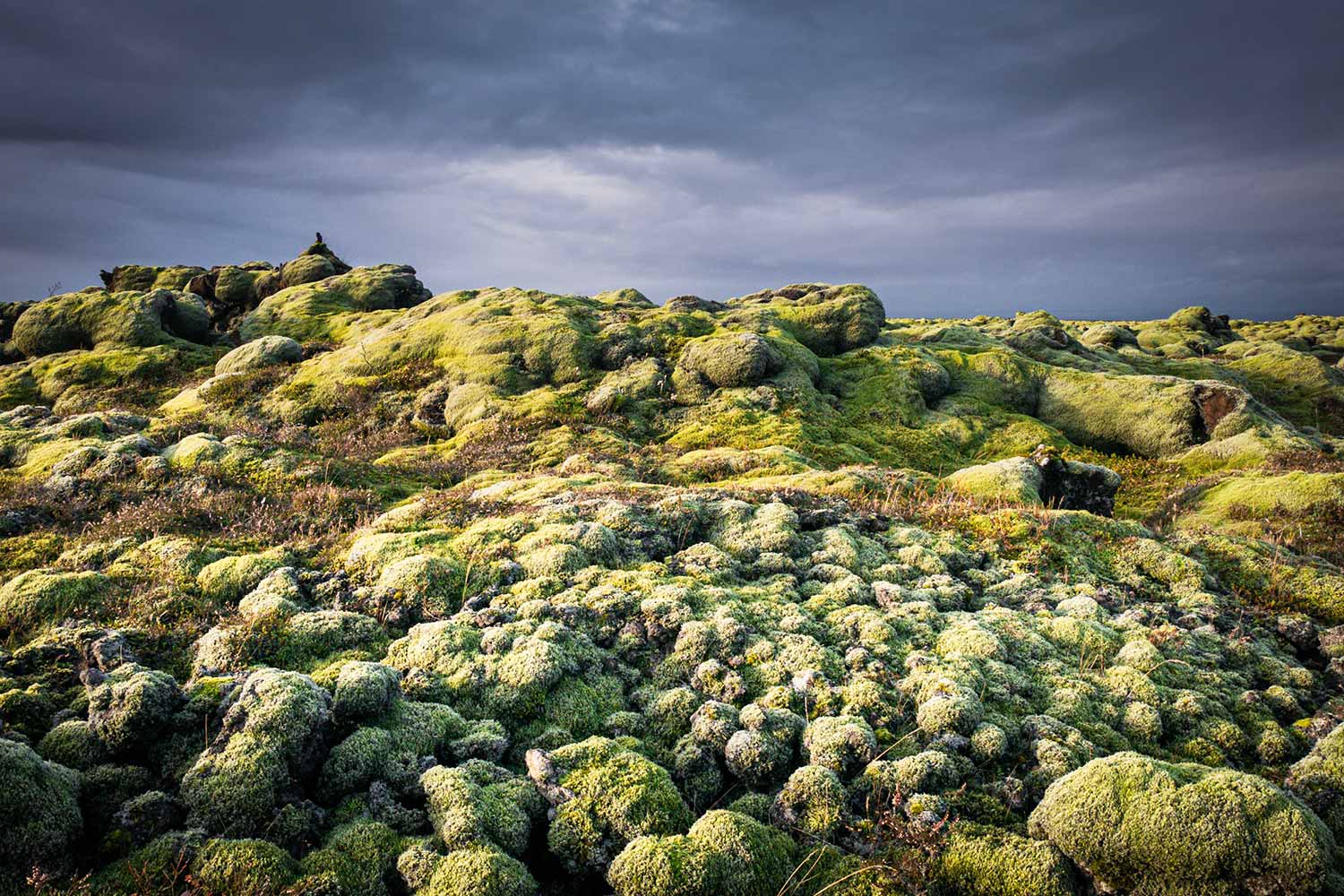 Côte sud, Islande © Claire B. - Merci de ne pas utiliser sans autorisation
