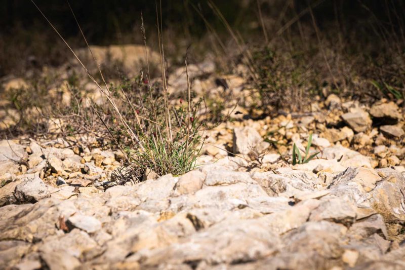 Provence, France © Claire B. - Merci de ne pas utiliser sans autorisation