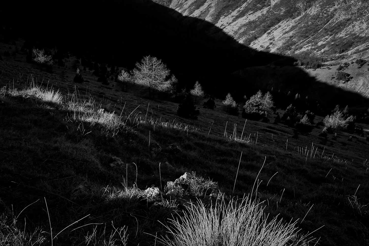 Rabou, Hautes-Alpes, France © Claire B. - Merci de ne pas utiliser sans autorisation