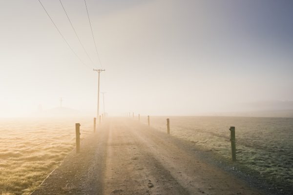Un matin brumeux dans une ferme néo-zélandaise © Claire Blumenfeld