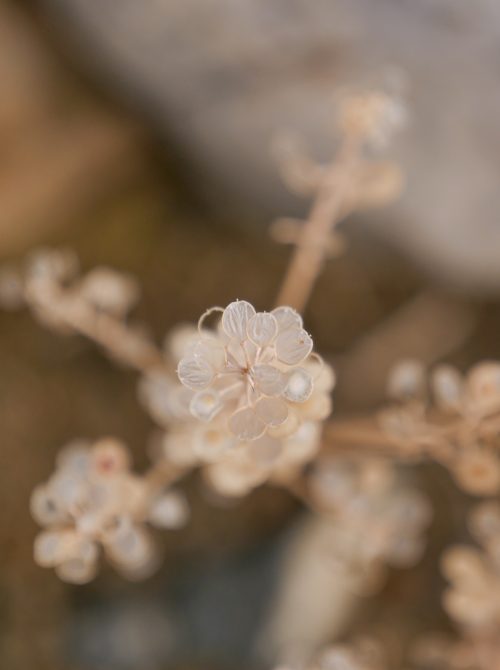 P1670877